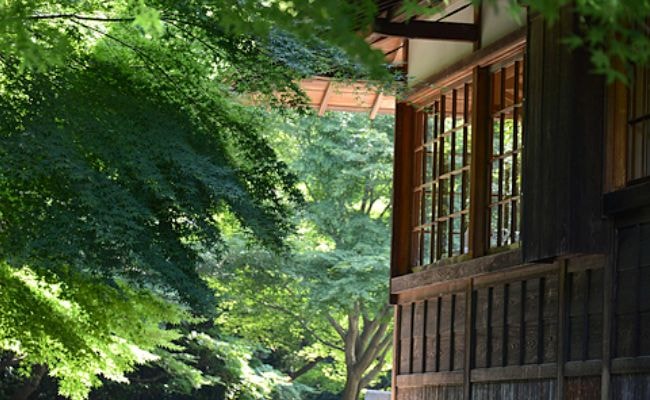 夏のイメージ