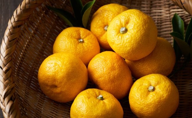 ゆず　冬至　年末