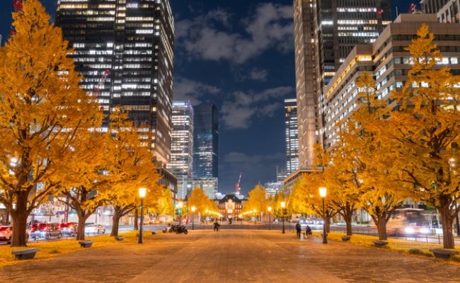 東京駅　行幸通り　紅葉