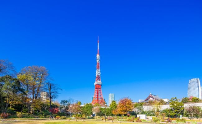 東京タワー　芝公園　紅葉